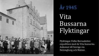 Vita Bussarna