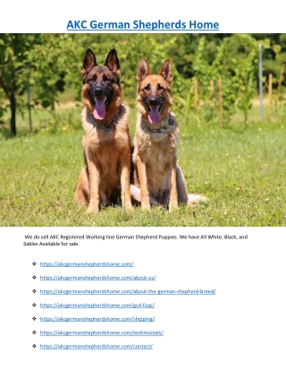 AKC German Shepherds Home