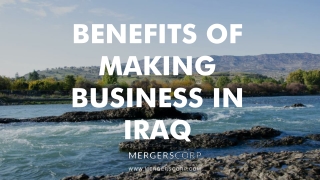 Benefits of Making Business in Iraq | Buy & Sell Business