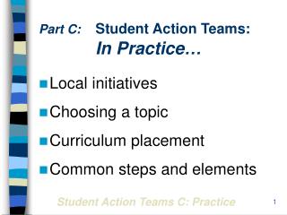 Part C: Student Action Teams: In Practice…