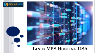 Linux VPS Hosting USA