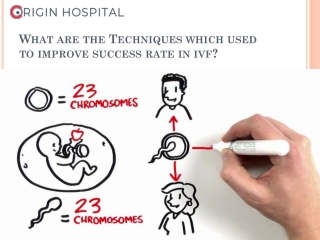 What are the Techniques which used to improve success rate in ivf?