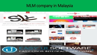 MLM Company in Malaysia