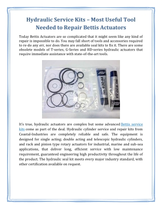 Hydraulic Service Kits – Most Useful Tool Needed to Repair Bettis Actuators
