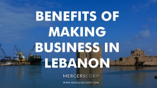 Benefits of Making Business in Lebanon | Buy & Sell Business