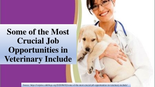Some of the Most Crucial Job Opportunities in Veterinary Include