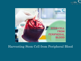 Harvesting Stem Cell from Peripheral Blood