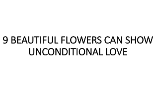 9 BEAUTIFUL FLOWERS CAN SHOW UNCONDITIONAL LOVE