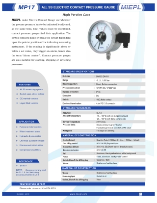 MP17 All Ss Electric Contact Pressure Gauge - High Version Case