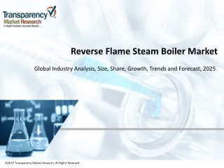 Reverse Flame Steam Boiler Market : Volume Analysis, Segments, Value Share and Key Trends 2025