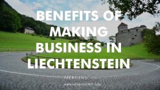 Benefits of Making Business in Liechtenstein | Buy & Sell Business