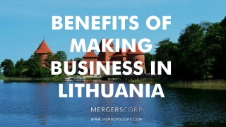 Benefits of Making Business in Lithuania | Buy & Sell Business