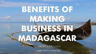 Benefits of Making Business in madagascar | Buy & Sell Business