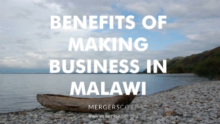 Benefits of Making Business in malawi | Buy & Sell Business