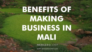 Benefits of Making Business in mali | Buy & Sell Business