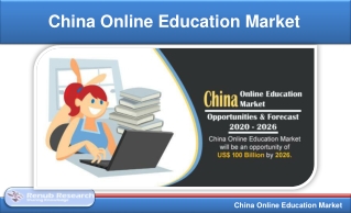 China Online Education Market Forecast By Segment & Investment