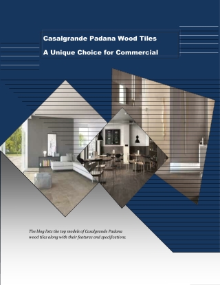 CasalgrandePadana Wood Tiles for Commercial Spaces