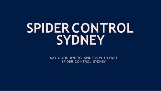 SPIDER CONTROL SYDNEY