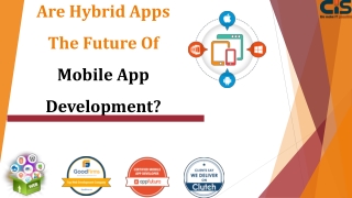 Are Hybrid Apps The Future Of Mobile App Development?