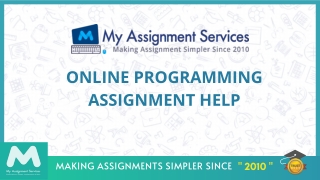 online Programming Assignment Help