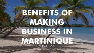 Benefits of Making Business in Martinique | Buy & Sell Business