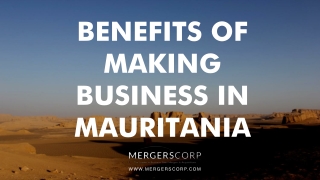 Benefits of Making Business in Mauritania | Buy & Sell Business