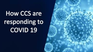 How CCS are responding to COVID 19