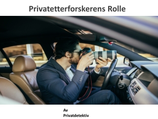 Privatetterforskerens Rolle