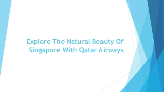 Explore The Natural Beauty Of Singapore With Qatar Airways