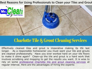 Best Reasons for Using Professionals to Clean your Tiles and Grout