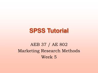 spss 22 tutorial ppt
