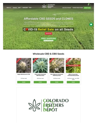 Colorado Breeders Depot: Wholesale CBD Seeds | Hemp ...