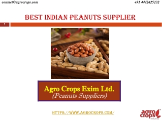 Best Indian Peanuts Supplier