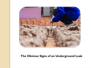 Know the Obvious Signs of an Underground Leak