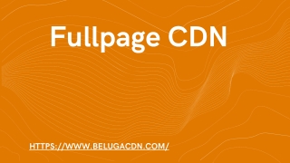 Fullpage CDN