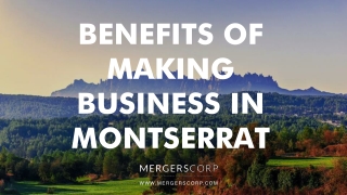 Benefits of Making Business in Montserrat | Buy & Sell Business