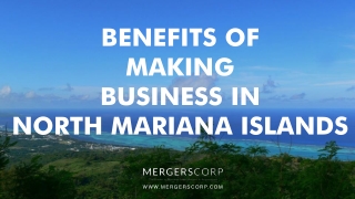 Benefits of Making Business in N. Mariana Islands | Buy & Sell Business