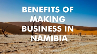 Benefits of Making Business in Namibia | Buy & Sell Business
