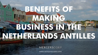 Benefits of Making Business in Netherlands Antilles | Buy & Sell Business