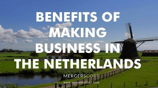 Benefits of Making Business in Netherlands | Buy & Sell Business
