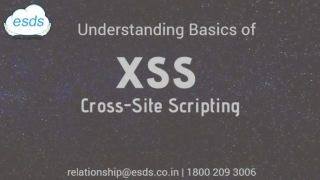 Exploring What XSS Vulnerabilities Are