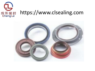 FEP/PFA VITON FPM O-Rings