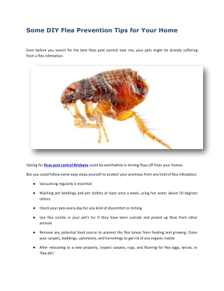Some DIY Flea Prevention Tips for Your Home