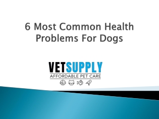 6 Most Common Health Problems For Dogs