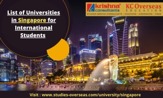 Types of Universities and Institutes in Singapore to Fulfil Your Study Abroad Dream