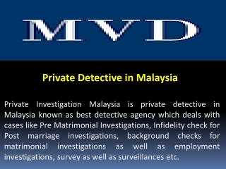 Private Detective in Malaysia