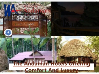 The Andaman Hotels Offering Comfort And Luxury