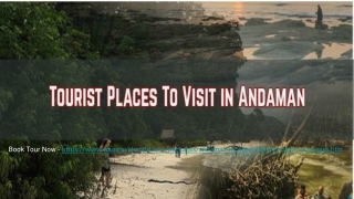 Places To Visit In Andaman Islands