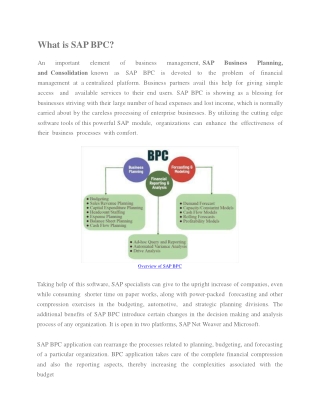 SAP BPC Overview PPT