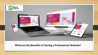 What are the Benefits of Having a Professional Website?